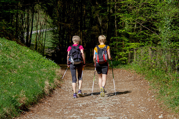 Fit mit Nordic Walking