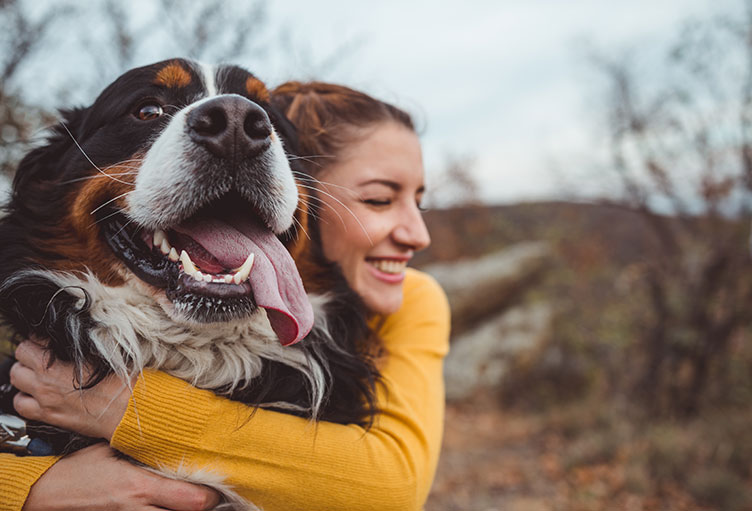 Warnhunde für Diabetiker
